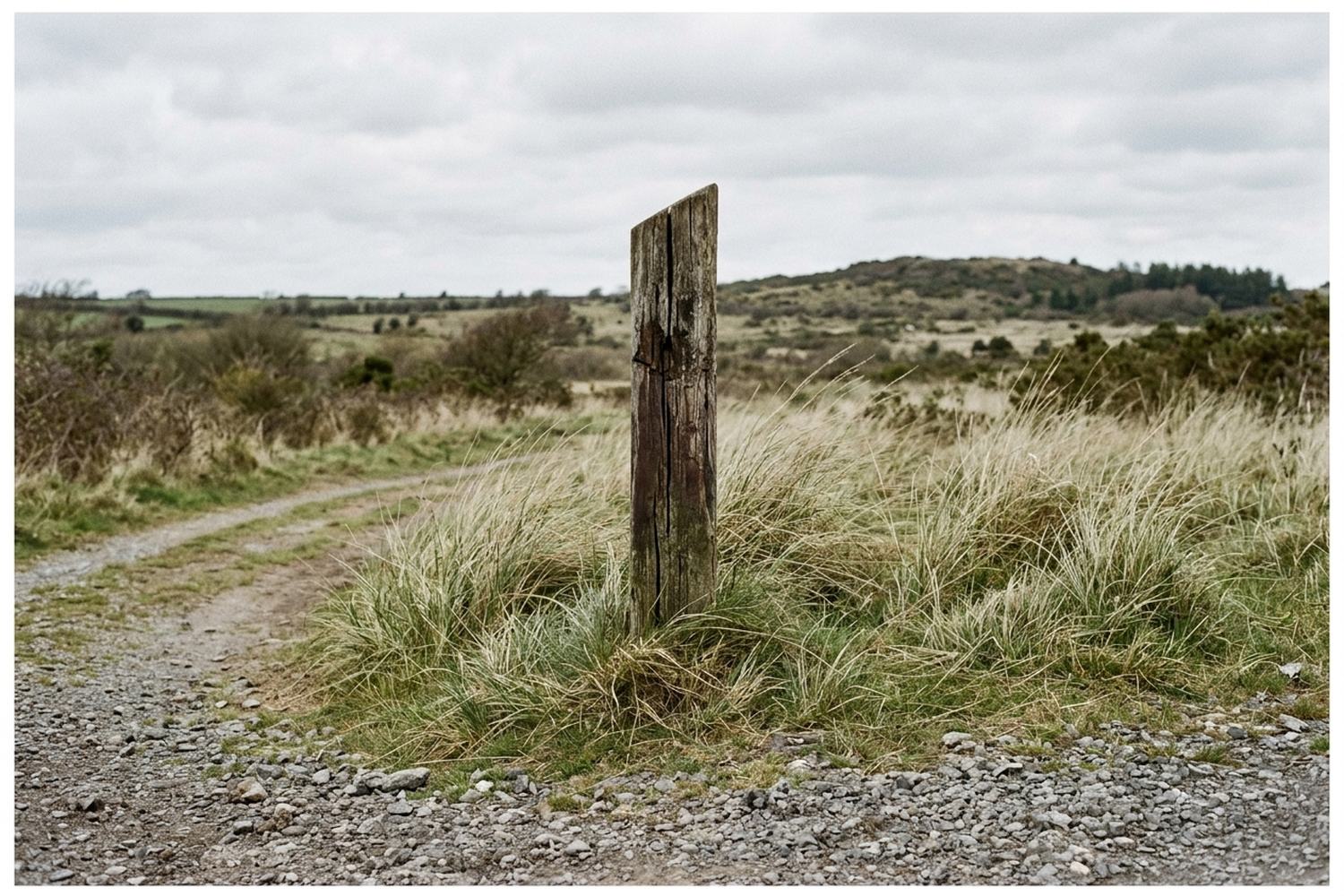 A weathered wooden marker post in rough ground.