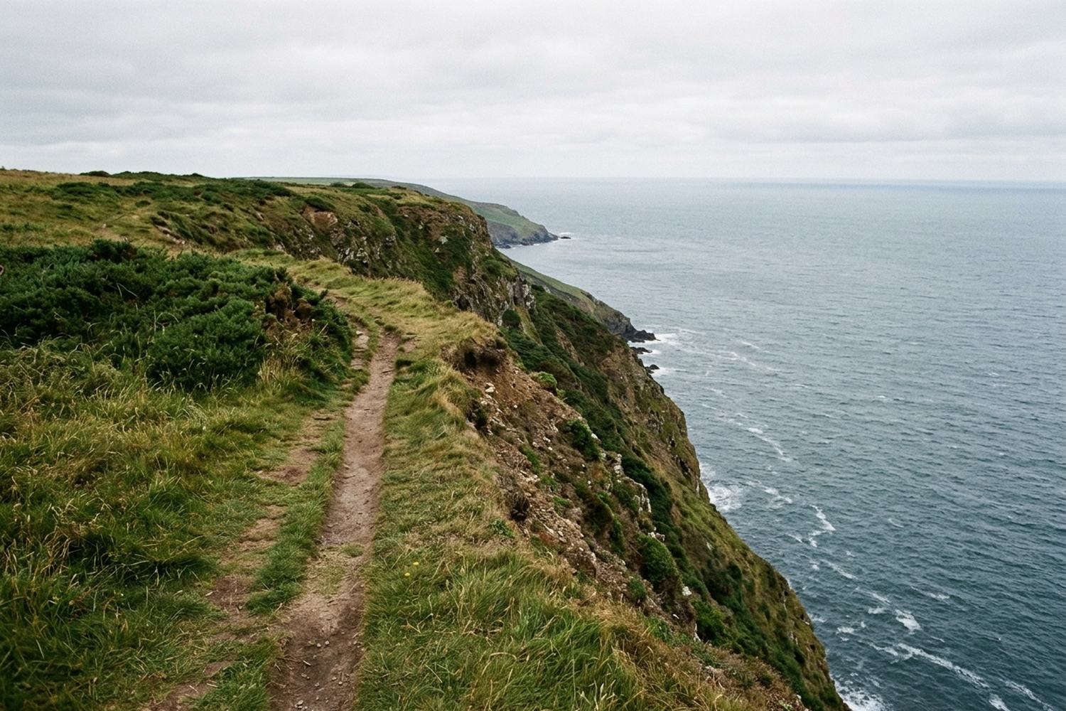 A grass path along the top of a sea cliff.
